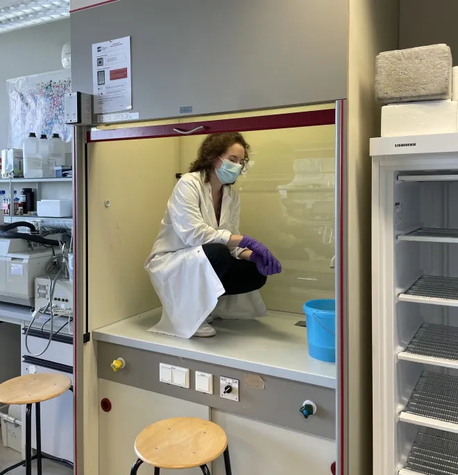 Cleanup lab