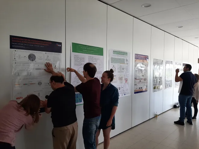 Posters